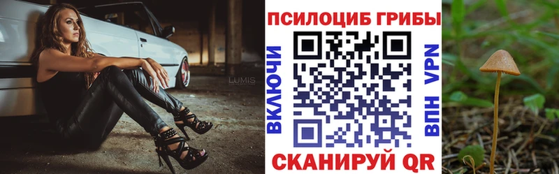 как найти закладки  Щёкино  Псилоцибиновые грибы мицелий 